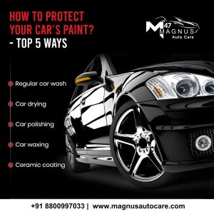 Protect Your Car Paint