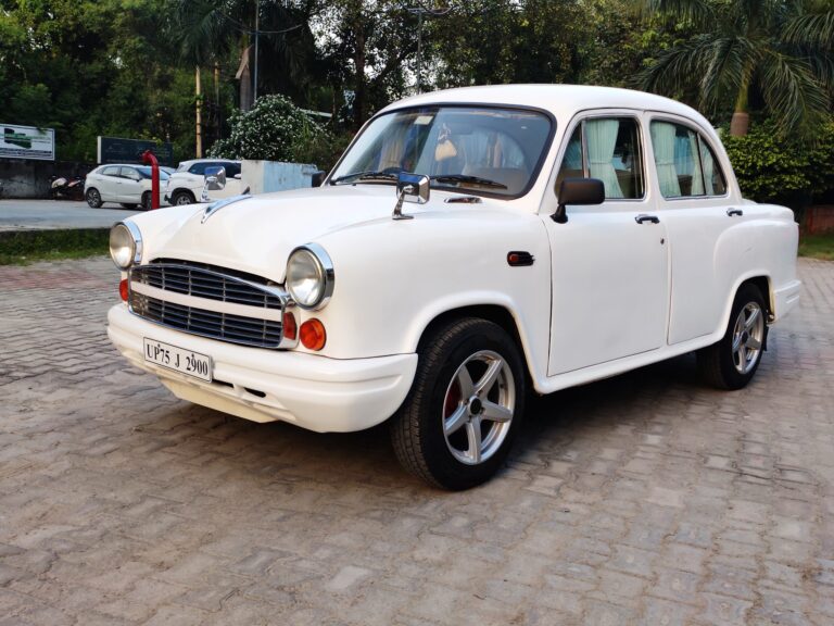 IMG_20230820_183754-1-scaled